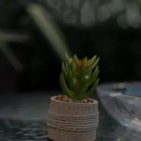 Piazza Dei Signori アパート *